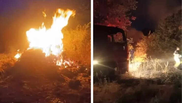Bursa’da otluk alanda çıkan yangın ormana sıçradı