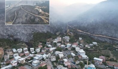 Bursa’daki orman yangınında son durum! Tahribat gün ağarınca ortaya çıktı