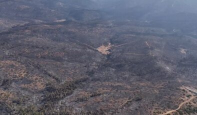 Bursa’daki orman yangınları 5. günde kontrol altına alındı