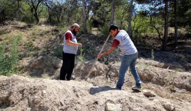 Çankırı Belediyesi’nden Fidan Dikme Projesi