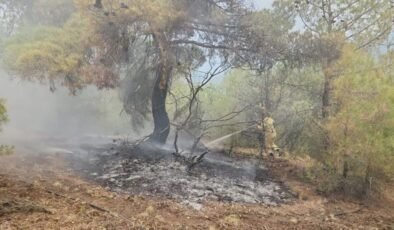 Çorum’da yıldırım nedeniyle ormanlık alanda iki yangın çıktı