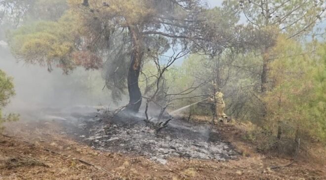 Çorum’da yıldırım nedeniyle ormanlık alanda iki yangın çıktı