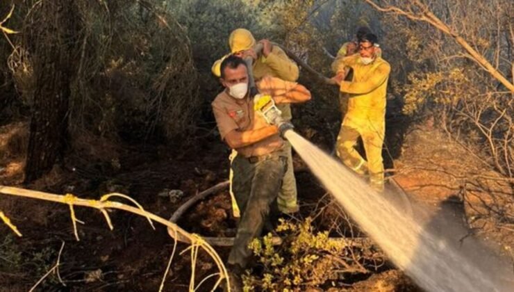 Denizli Tavas’ta orman yangını