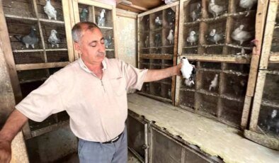 Depremde Güvercinlerini Kaybeden Emekli Esnaf Yeniden Kuş Beslemeye Başladı