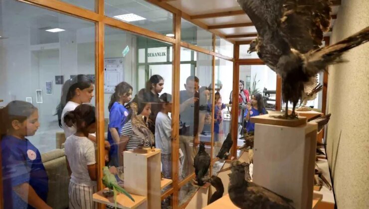 Düzce Gençlik Merkezi Yaz Kulübü Öğrencileri Doğa ile Buluştu