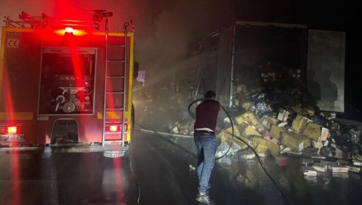 Erzincan’da kumaş ve kozmetik yüklü TIR seyir halindeyken alev aldı