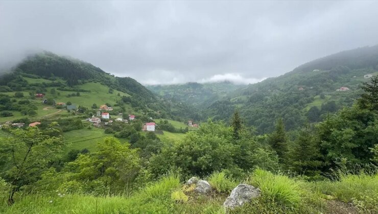 Giresun’da Artan Turizm Hareketliliği Esnafı Sevindiriyor