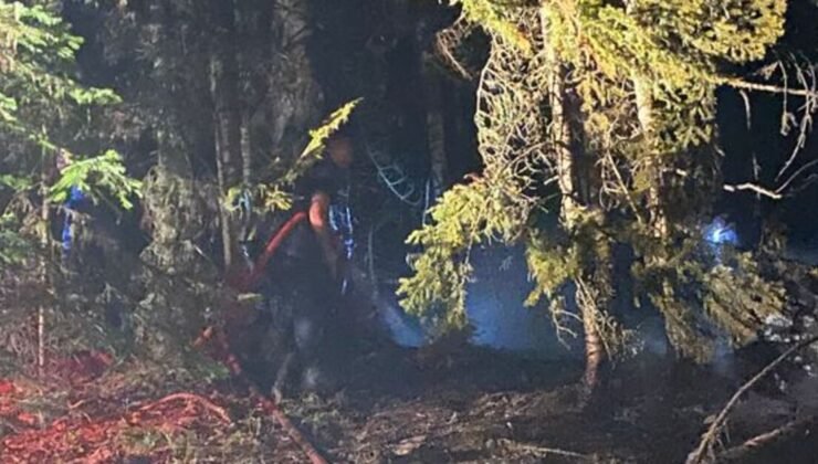 Gümüşhane’de çıkan orman yangını söndürüldü