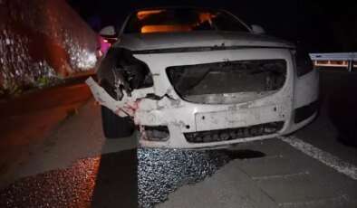 Gümüşhane’de otomobil ayıya çarptı, ayı telef oldu
