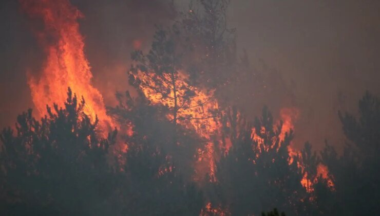 Karabük’te orman yangını 4. gününde şiddetlendi! Köyler bir bir boşaltılıyor
