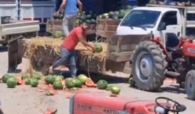 Karpuz parçalayan iki üretici yandı! Fahiş ceza yolda