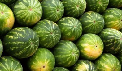 Karpuzdaki büyük tehlike: Bunu yapmadan sakın yemeyin