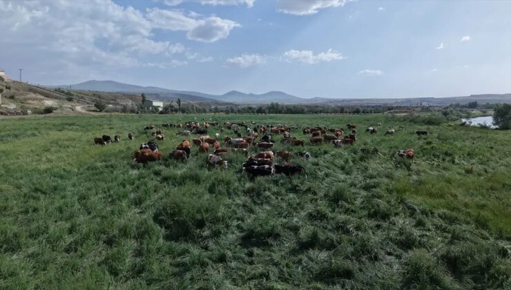 Kayseri’de Mera Islah Projesi ile 400 Dekar Alan Tarıma Kazandırıldı