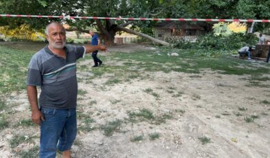 Kırılan ağaç dalı aynı aileden 11 kişiyi hastanelik etti