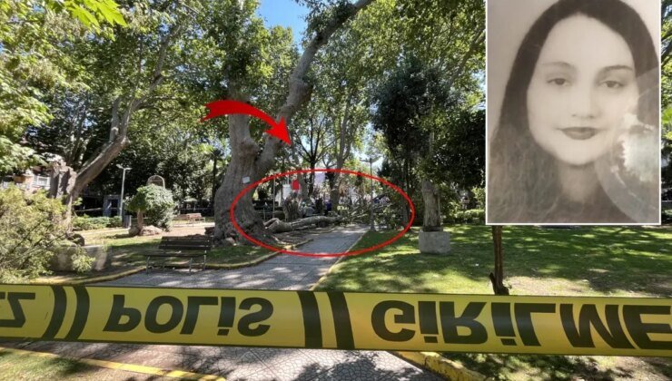 Kırılan ağaç dalının altında kalan Seda da hayatını kaybetti
