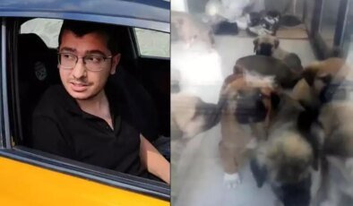 Köpekleri istismar edip öldürmekle suçlanan doktor: Zevk olarak evde yaptığım şeyler kimseyi ilgilendirmez
