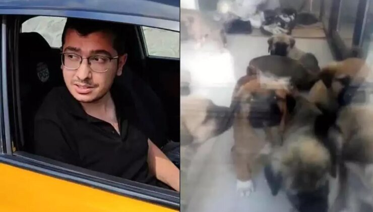 Köpekleri istismar edip öldürmekle suçlanan doktor: Zevk olarak evde yaptığım şeyler kimseyi ilgilendirmez