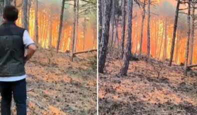 Orman bölge müdürü ve ekibinin alevlerin arasında kaldığı anlar kamerada