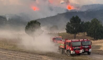 Orman yangınlarında ölümcül tuzak! Alev Kırbacı can alıyor