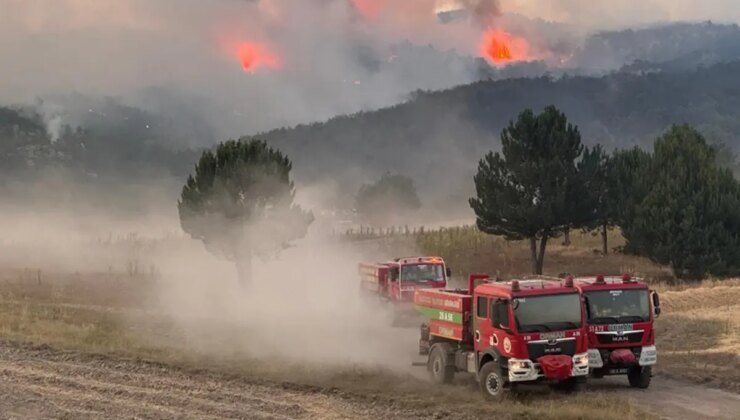 Orman yangınlarında ölümcül tuzak! Alev Kırbacı can alıyor