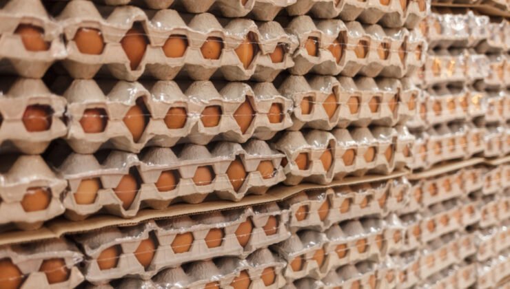 Resmi Gazete’de yayımlandı: Yumurta ihracatında yeni düzenleme