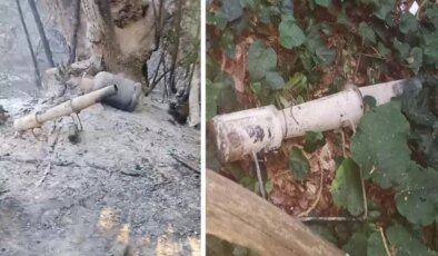 Sakarya’daki orman yangınının sebebi belli oldu: 2 gözaltı