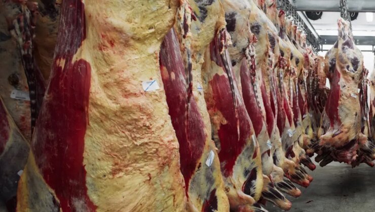 Sektörün en iyilerindendi! 38 yıldır hizmet veren dev şirket iflasın eşiğine geldi
