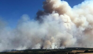 Silivri’de orman yangını! Alevlere müdahale devam ediyor