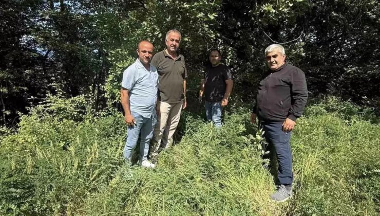 Sinop’un Kırsal Bölgelerine Verici Baz İstasyonu Müjdesi