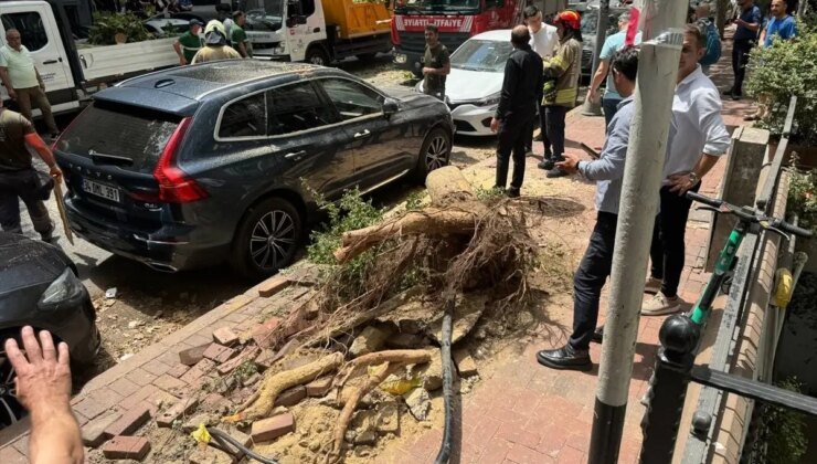 Şişli’de Ağaç Devrildi, İki Otomobil Zarar Gördü