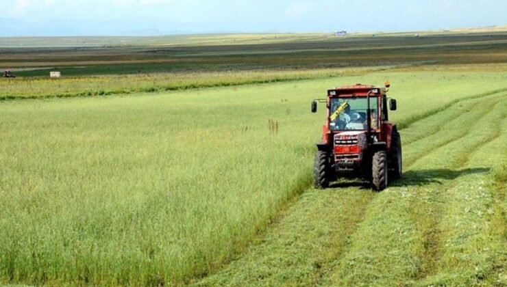 Tarımsal girdi fiyat endeksi mayısta yıllık yüzde 31,80 arttı