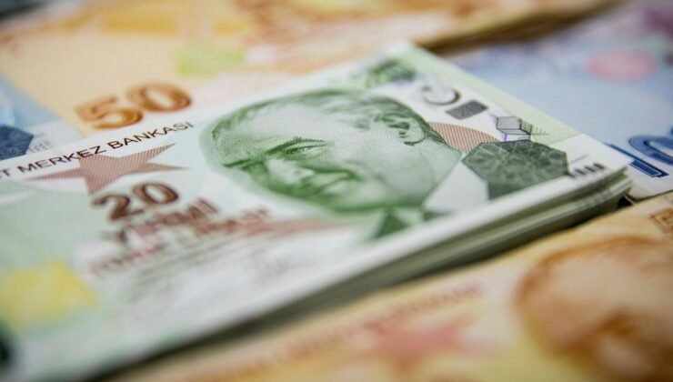 Temmuz ayı Sosyal ve Ekonomik Destek ödemeleri hesaplara yatırıldı