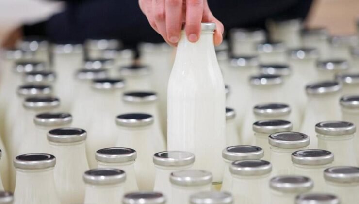 Ticaret Bakanlığı’ndan 4 süt şirketine 58,3 milyon lira ceza