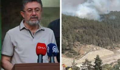 Yeniden başlayan yangına jet müdahale! Kontrol altına alındı