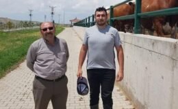 Yozgat’ta silahlı saldırı: Muhtar ve bir oğlu öldü, diğer oğlu yaralandı