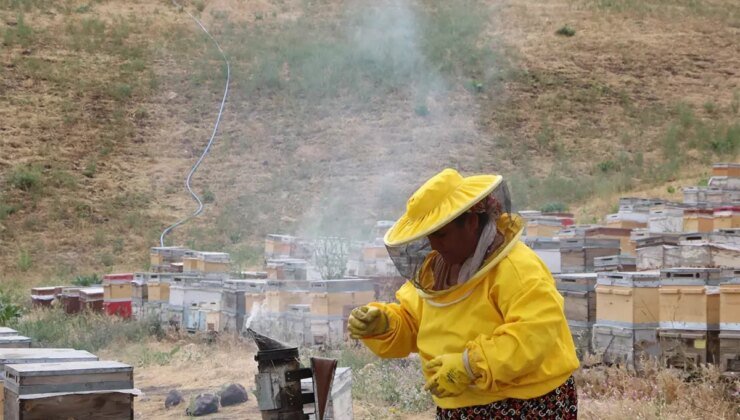 5 kovanla başladı, şimdi Türkiye’nin dört bir yanına bal satıyor