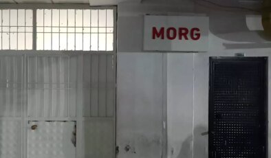Ailecek gittikleri piknik felaketle sonuçlandı