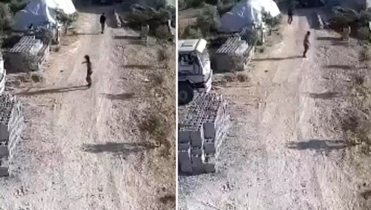 Amca ile yeğenin hayatını kaybettiği silahlı kavga kamerada