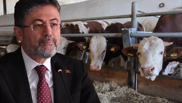 Bakan Yumaklı: Türkiye’de şap hastalığının yeni bir çeşidi 60 sene sonra ilk kez görüldü