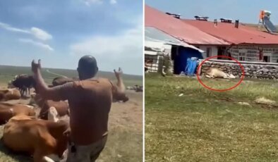 Bir ilimizde durum vahim! "Nerede bu yetkililer?" diyerek isyan etti: Allah sen yardım et