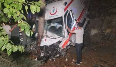 Bursa’da ambulans ile kamyonet çarpıştı: 1 ölü, 4 yaralı