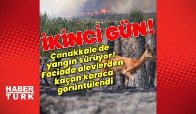 Çanakkale’de alevlerle mücadele sürüyor!