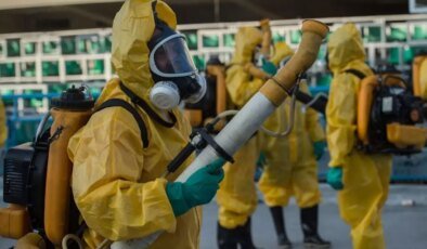 Chikungunya virüsü hızla yayılıyor! 16 ülkede 240 binden fazla vaka, 90 ölü