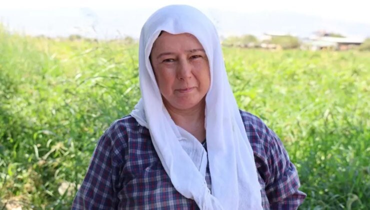 Çöl sıcağında ekmek mücadelesi: Öğlen 12’ye kadar çalışıp 1500 TL alıyorlar