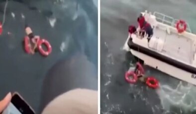 Deniz panik anları! Feribottan atlayarak intihar girişiminde bulundu