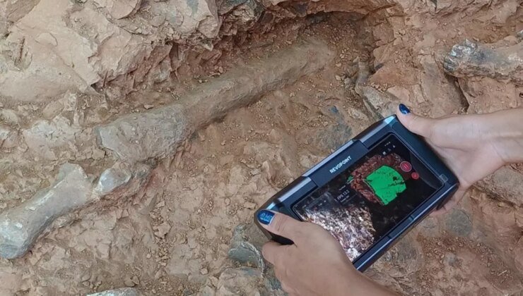 Denizli’deki kazılarda kazmayı vurdukça fosil fışkırdı, 9 milyon yıllık 27 tür bulundu