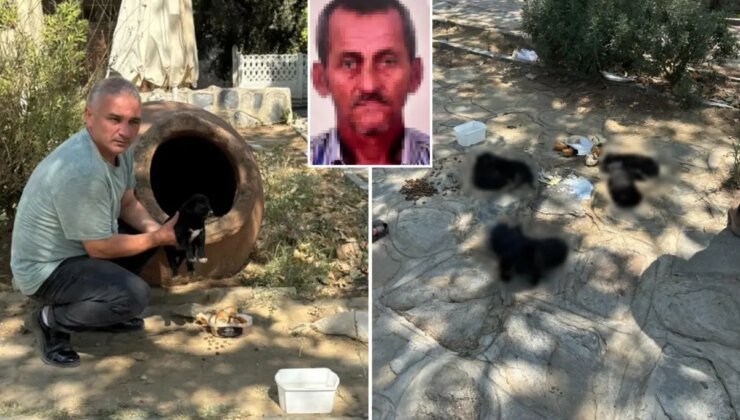 Hain planında çocukları kullanan vicdansız hayvanları zehirleyerek öldürdü