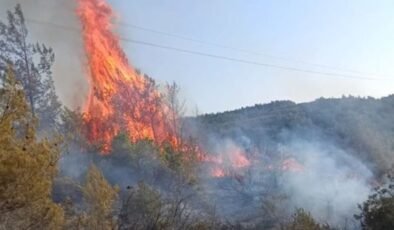 Hatay’da ormanlık alanda yangın çıktı