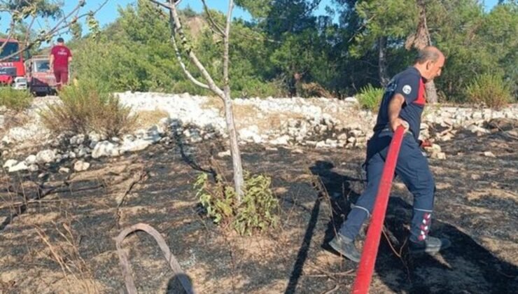 Hatay’daki orman yangını söndürüldü