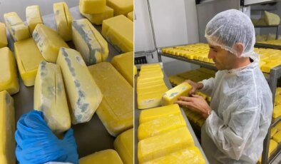 Hepsini vatandaşa yedireceklerdi! Mide bulandıran manzara, tam 1,5 ton